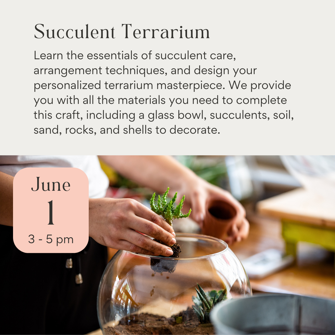 Succulent Terrarium Workshop June 1st 2024