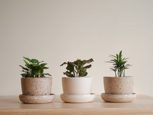 Kanso 3 inch Planters