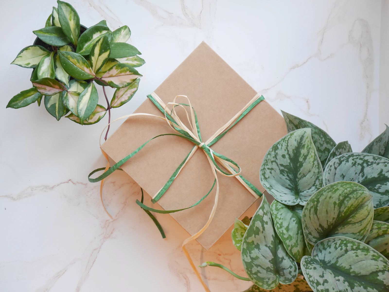 Gift Boxes