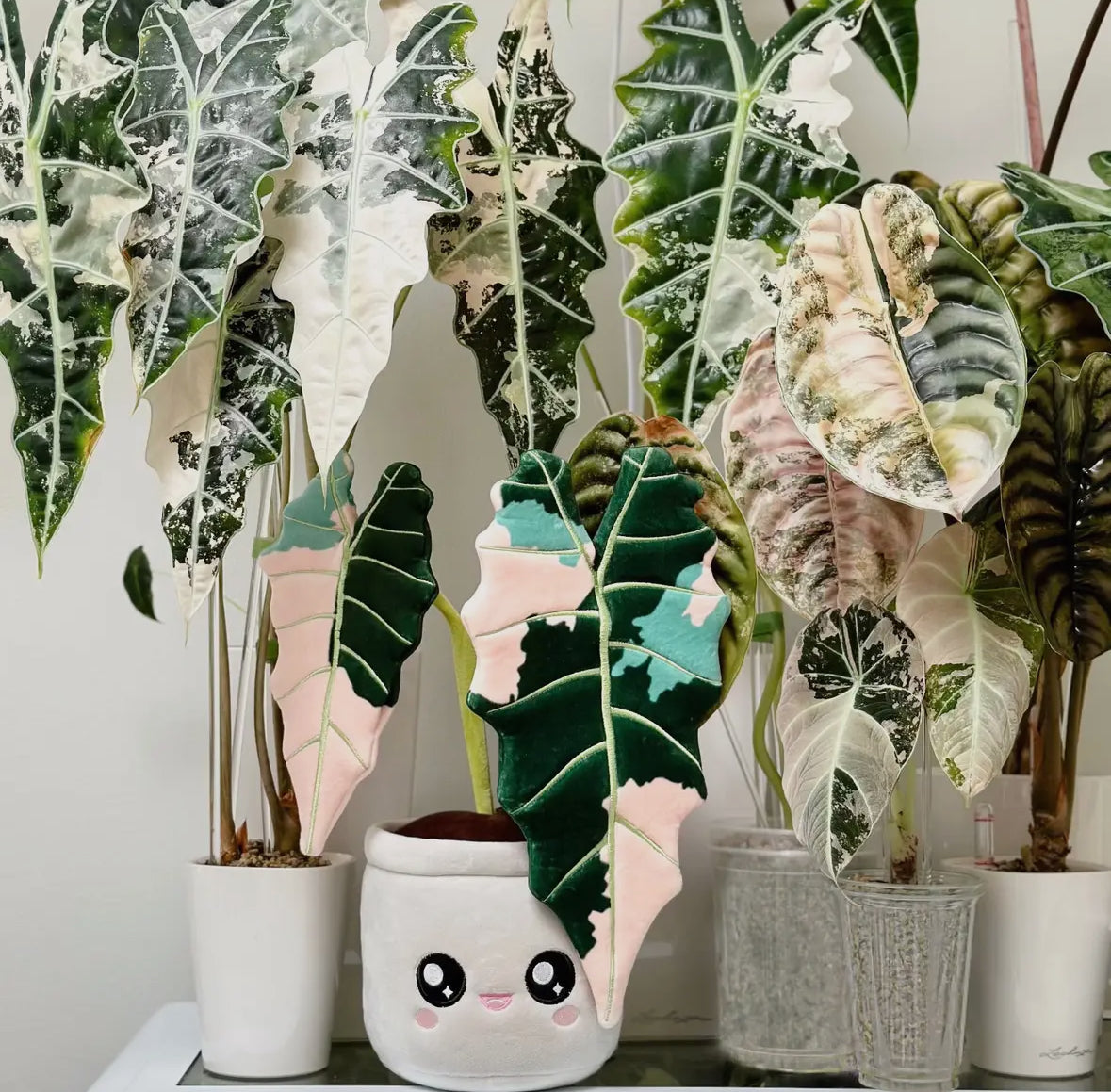 Plant Plushie - Plant Corner NYC