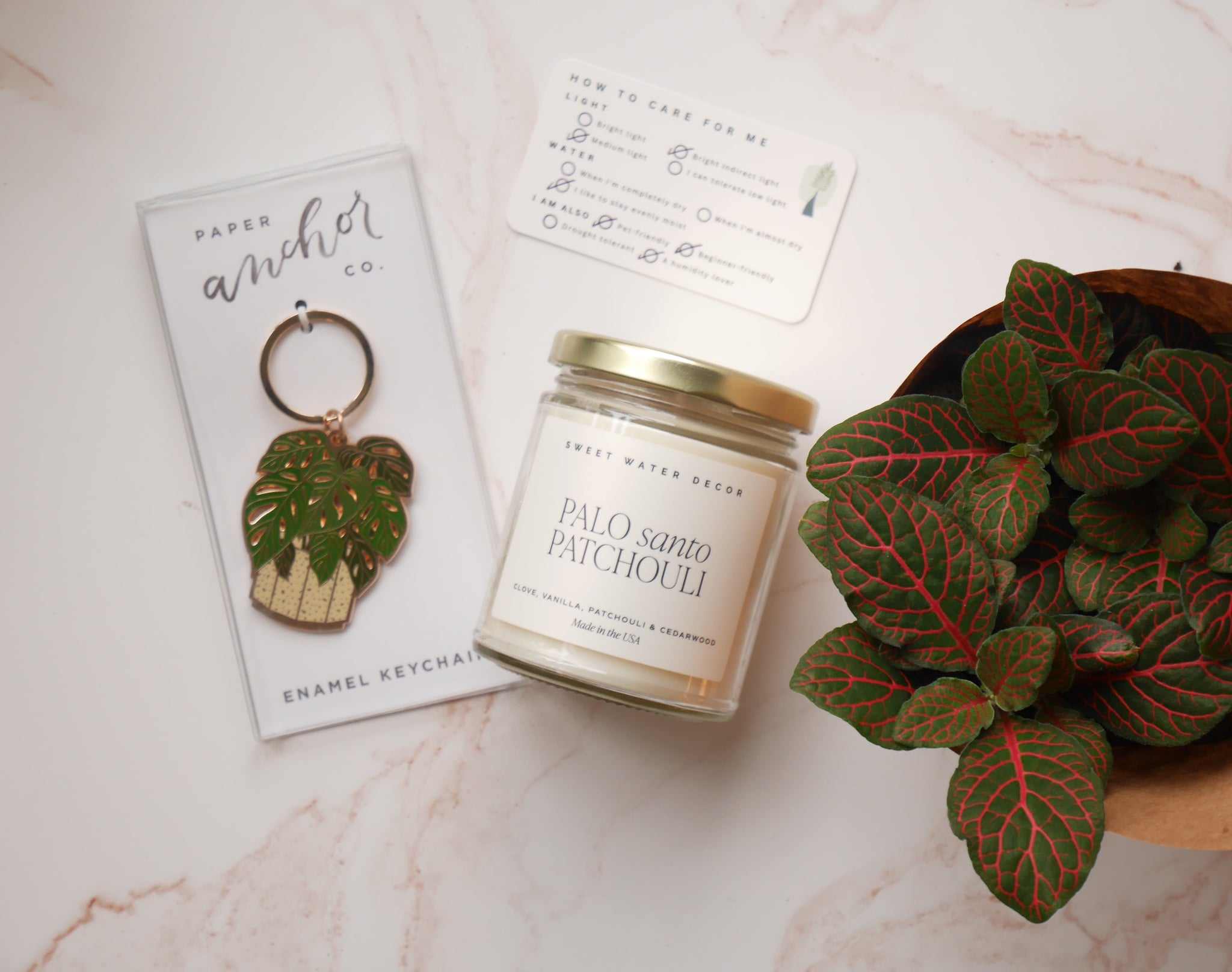 house warming gift plant Housewarming Gift Box