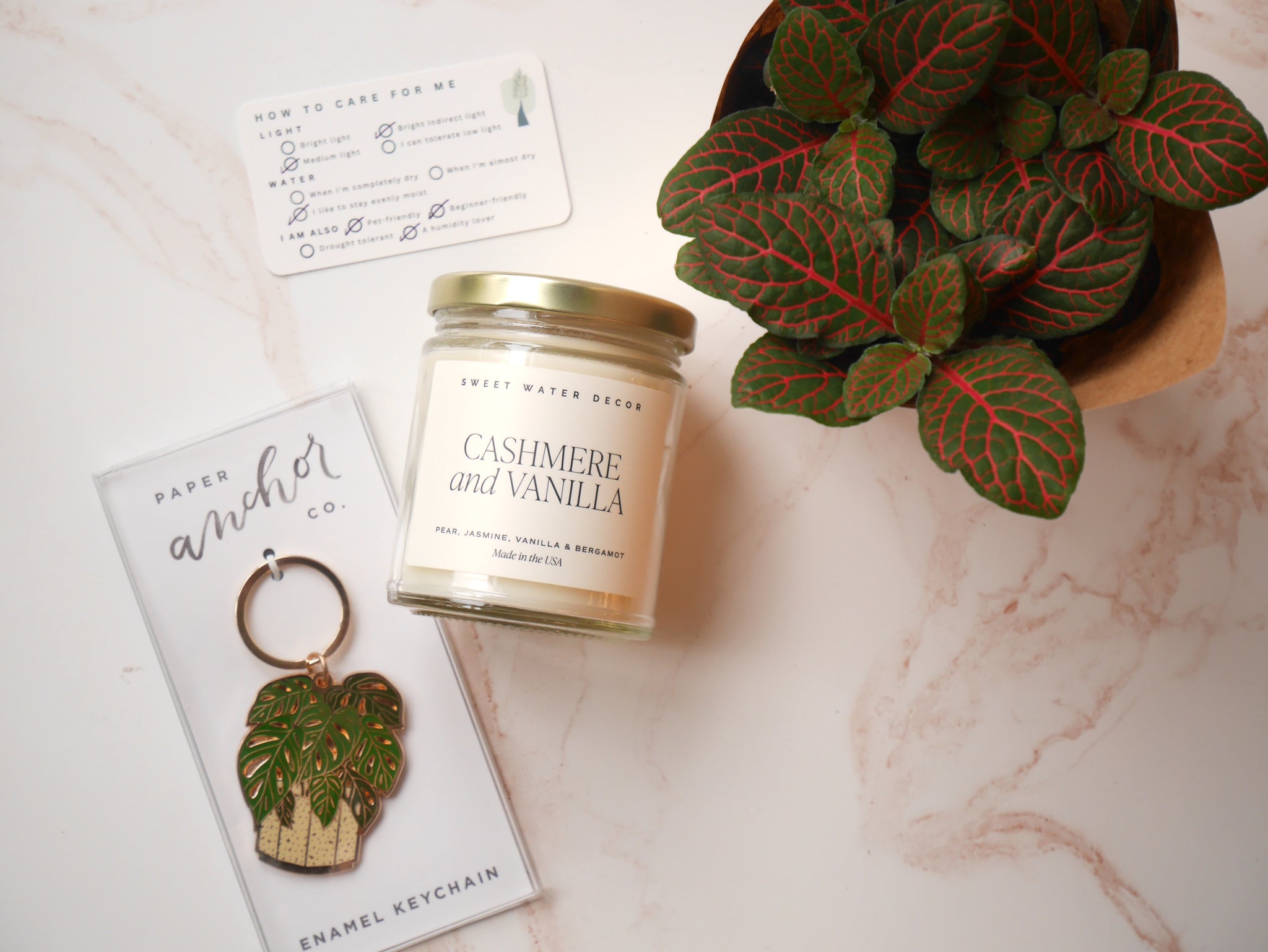 house plant housewarming gift Housewarming Gift Box