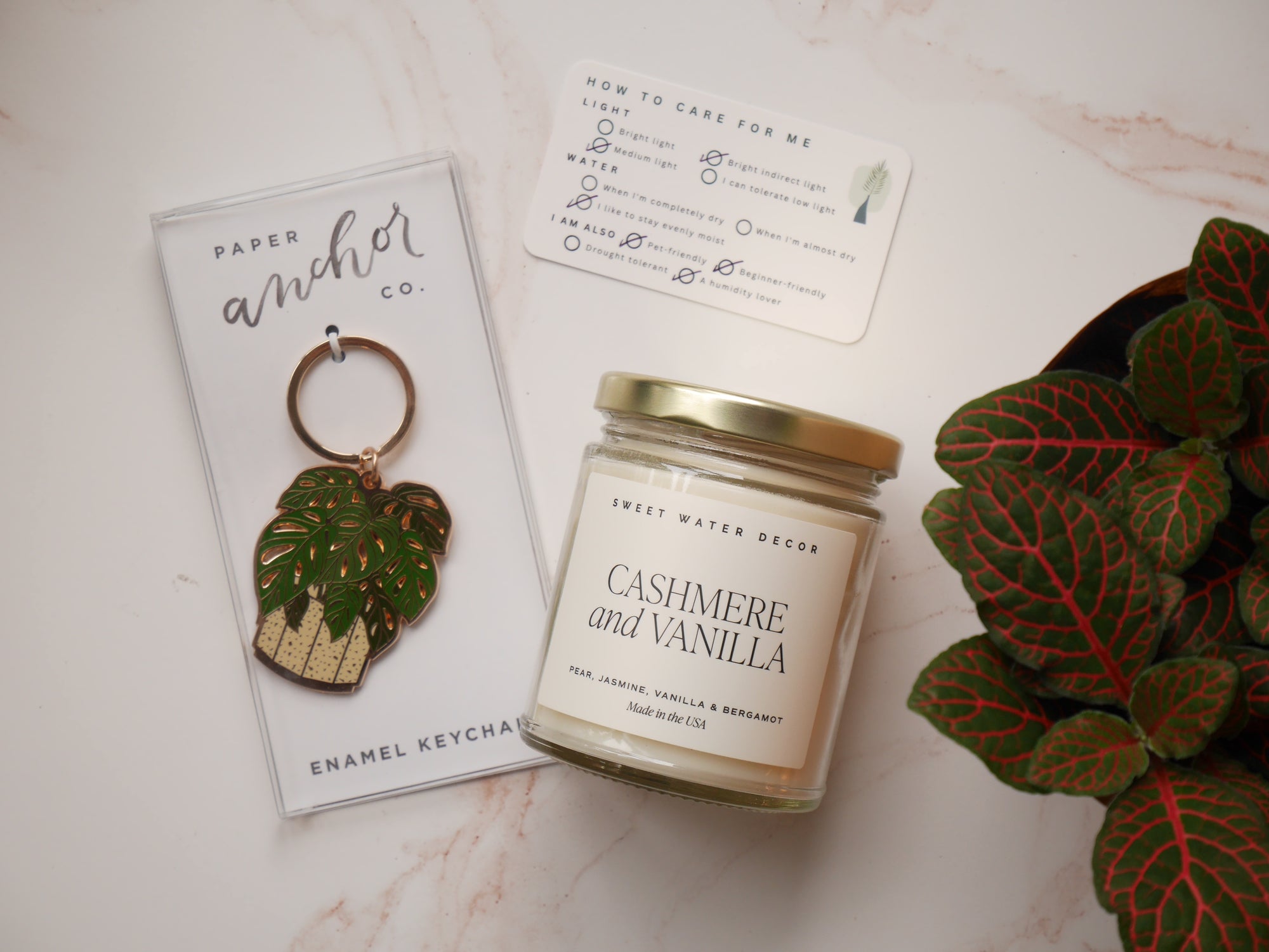 plant house warming gift Housewarming Gift Box