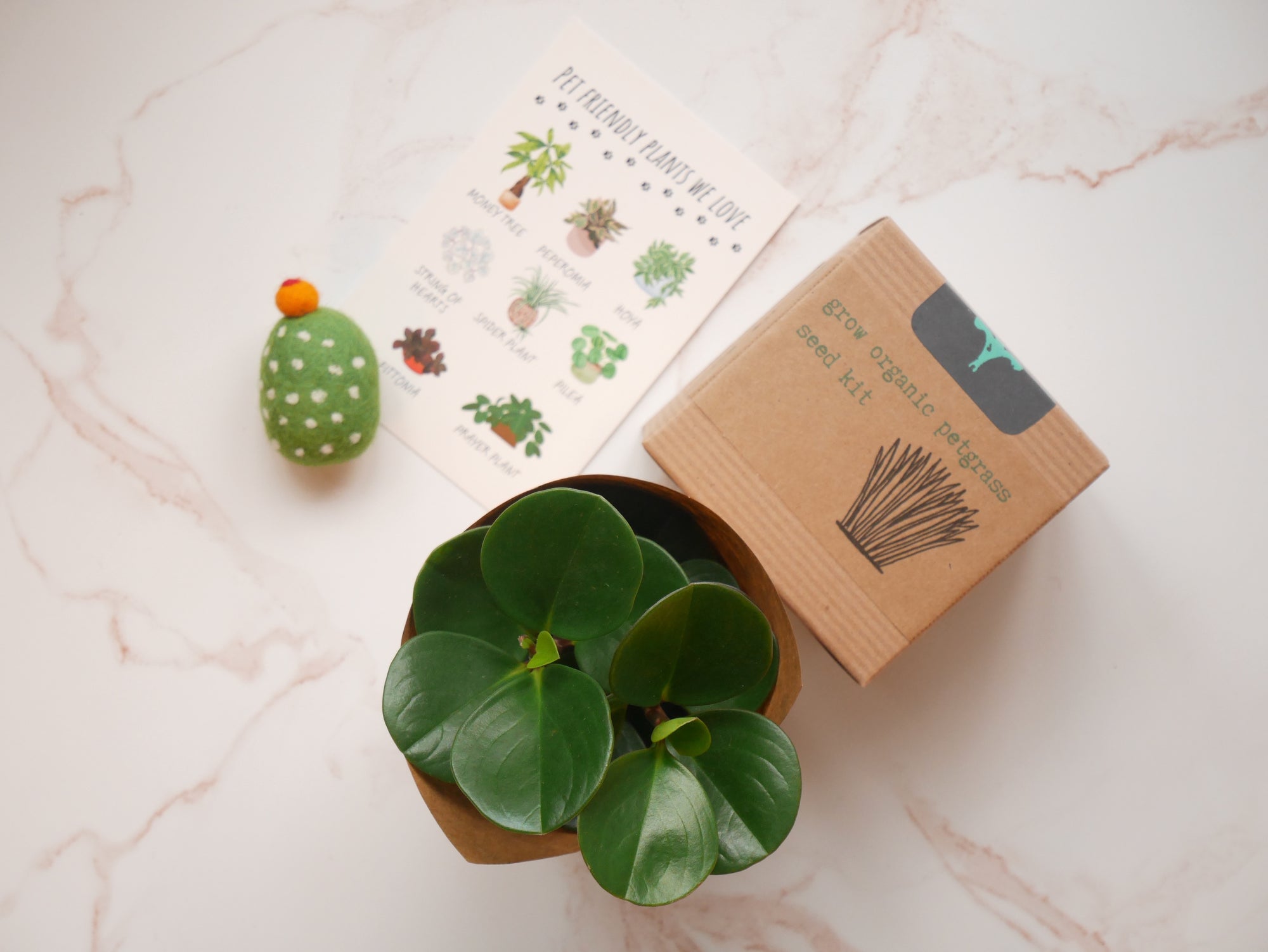 Plant and Pet Lover Gift Box