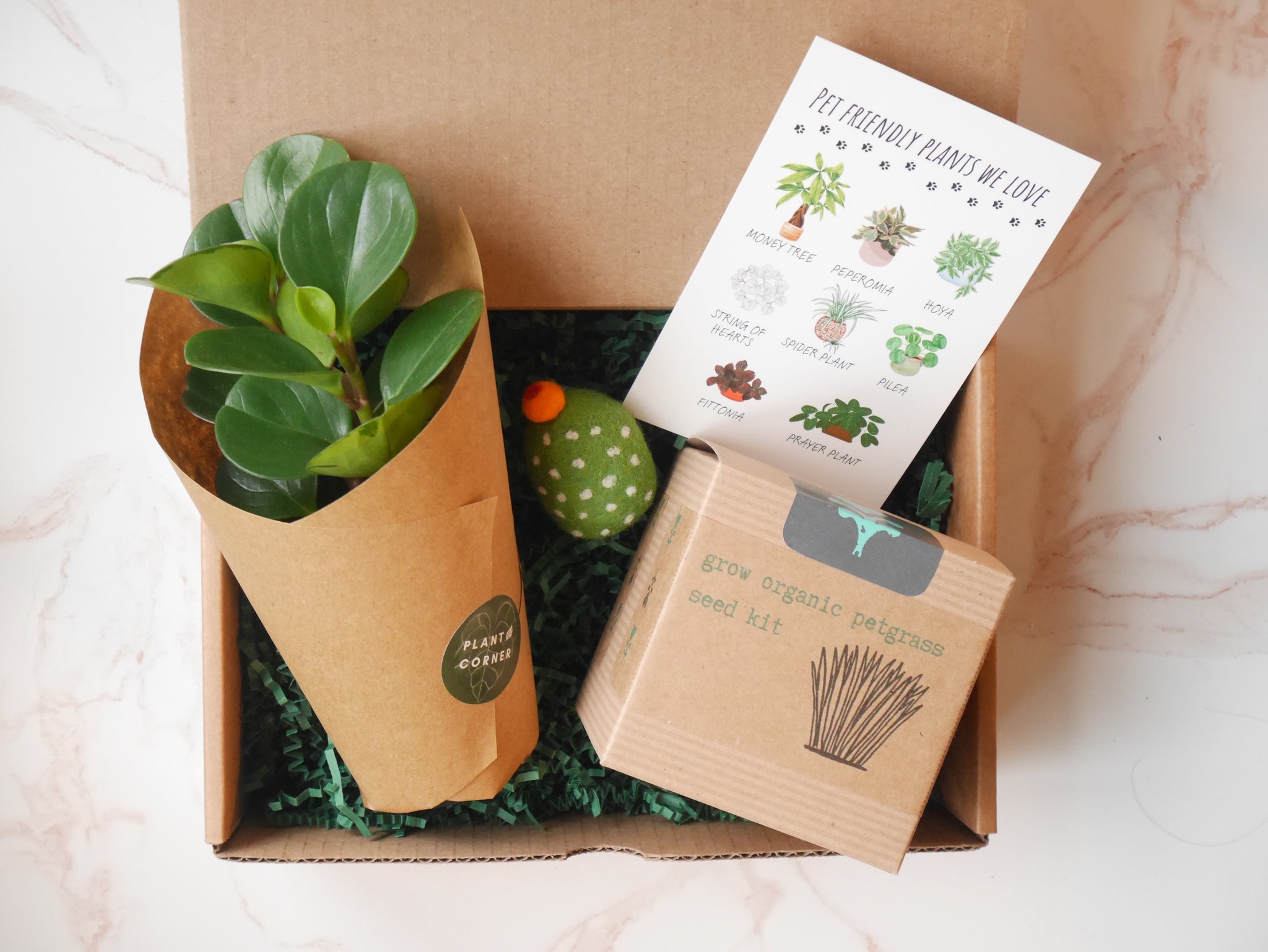 house plant gift set Plant and Pet Lover Gift Box