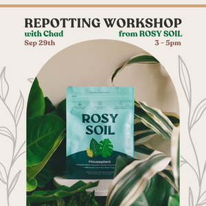 Repotting Workshop Sep 29th @ 4pm