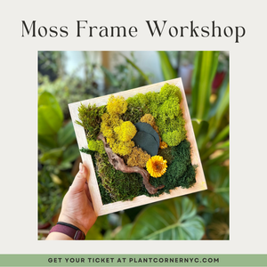 Moss Frame Workshop December 21th 2024