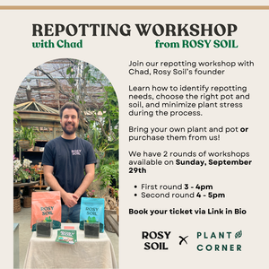 Repotting Workshop Sep 29th @ 4pm