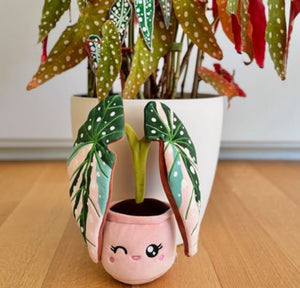 Plant Plushie