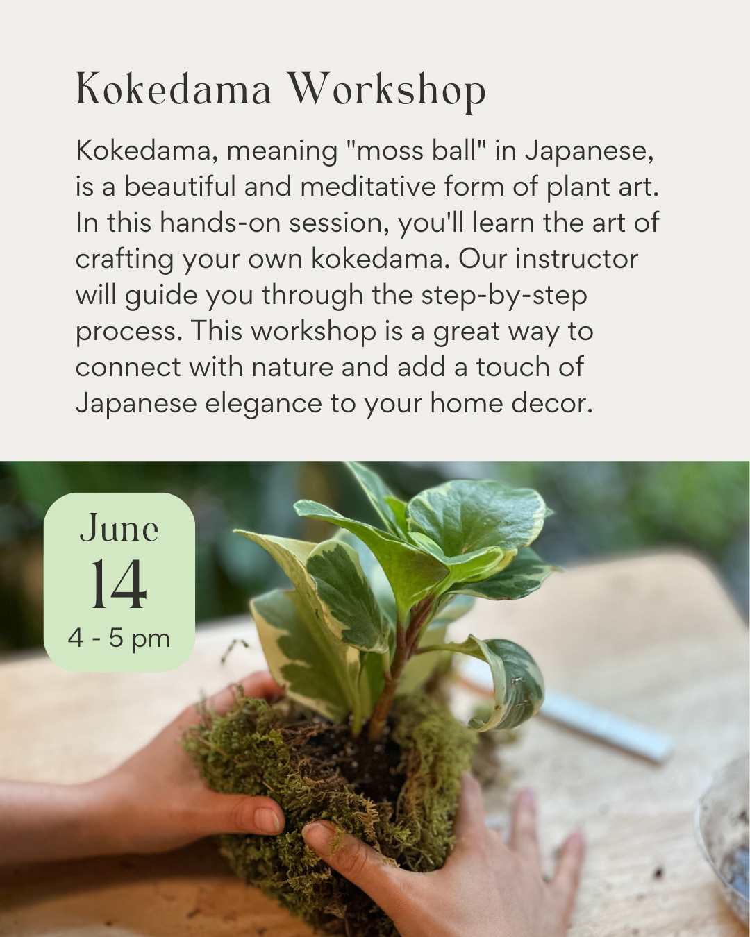 Kokedama Workshop June 14th 2025 + Ceramic Decorative Dish