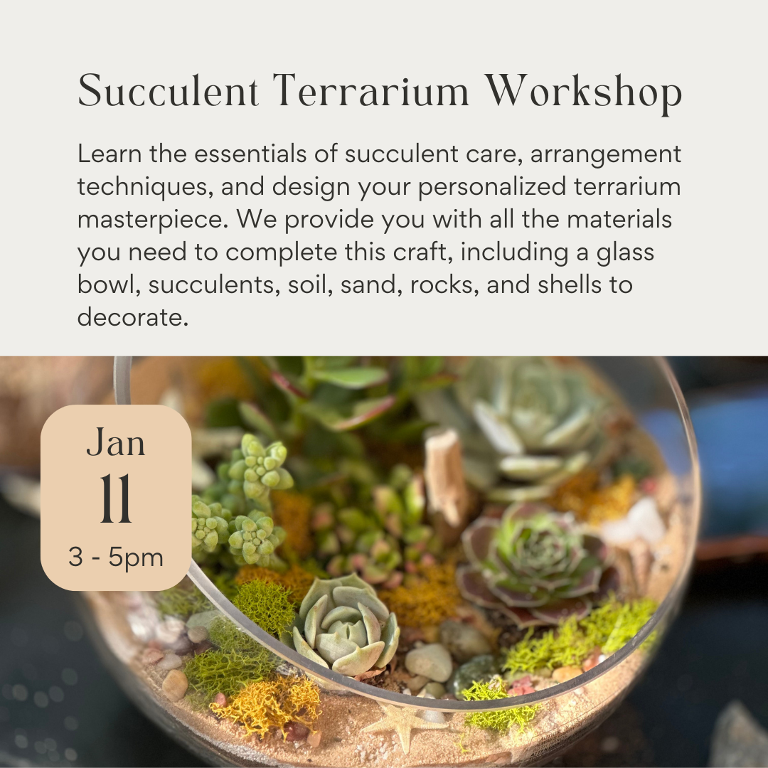 Succulent Terrarium Workshop January 11th 2025