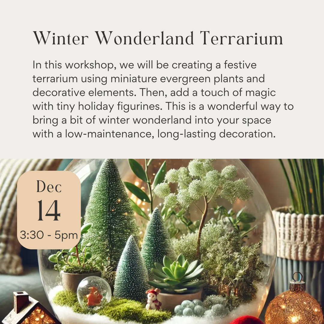 Winter Wonderland Terrarium Workshop December 14th 2024