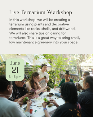 Live Terrarium Workshop June 21st 2025