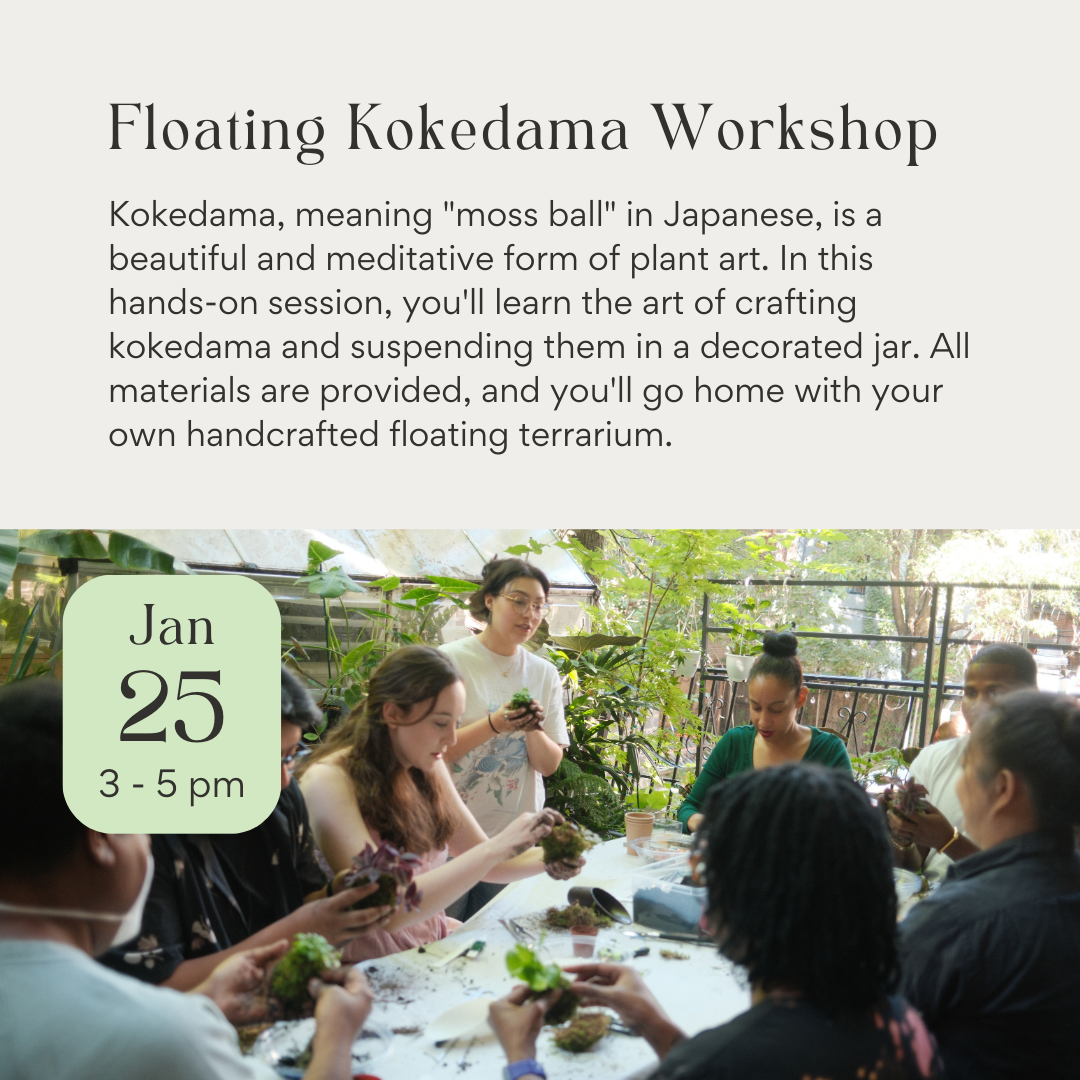 Floating Kokedama Terrarium Workshop January 25th 2025