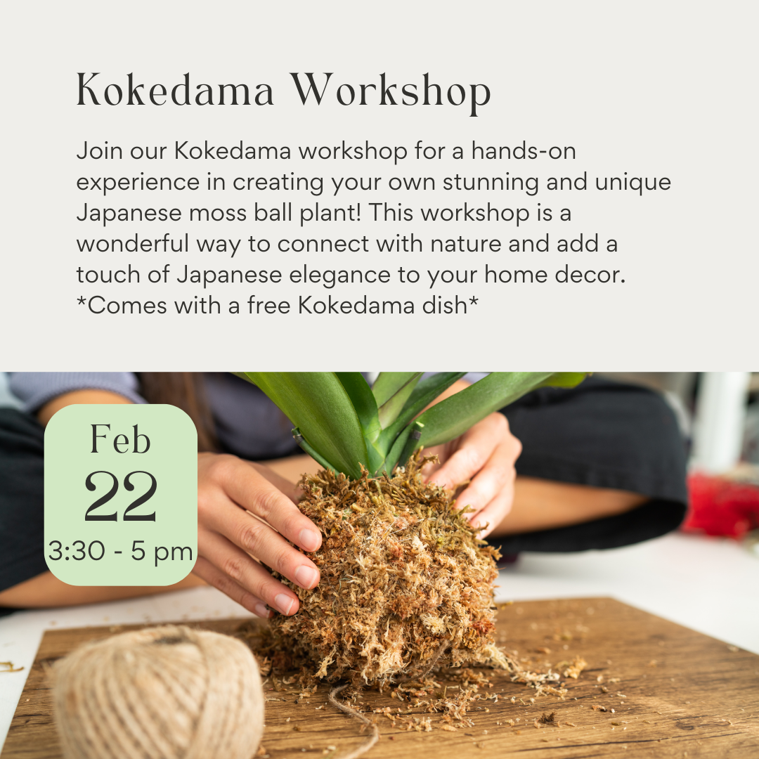 Kokedama Workshop February 22nd 2025 + Ceramic Decorative Dish