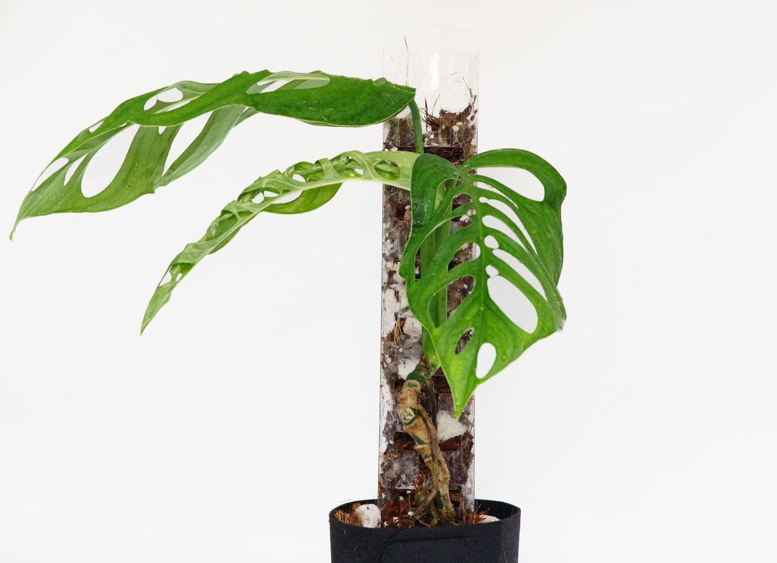 5 x GrowPole 3.0 Pro