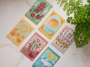 Sow the Magic Seed packets