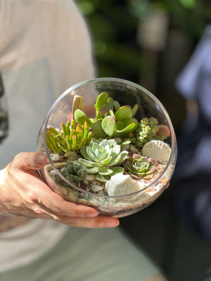 Succulent Terrarium Workshop January 11th 2025