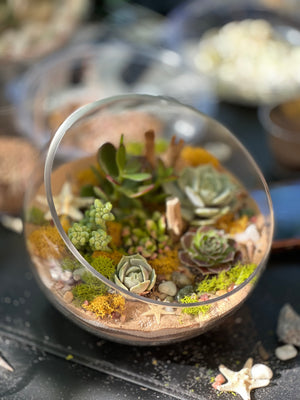 Succulent Terrarium Workshop January 11th 2025