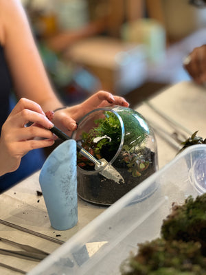 Live Terrarium Workshop June 21st 2025