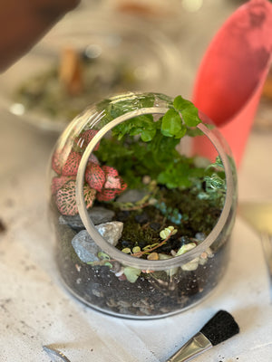 Live Terrarium Workshop June 21st 2025
