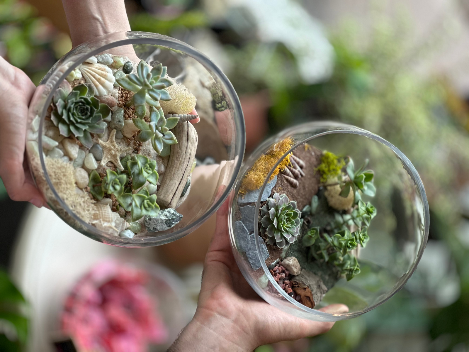 Succulent Terrarium Workshop January 31st 2026 3-5pm