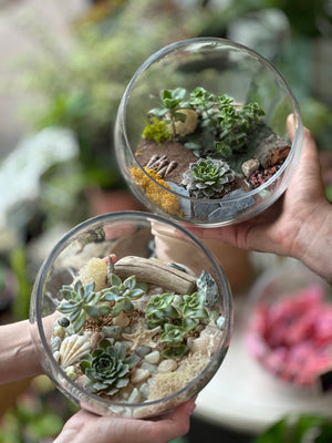 Succulent Terrarium Workshop March 29th 2025