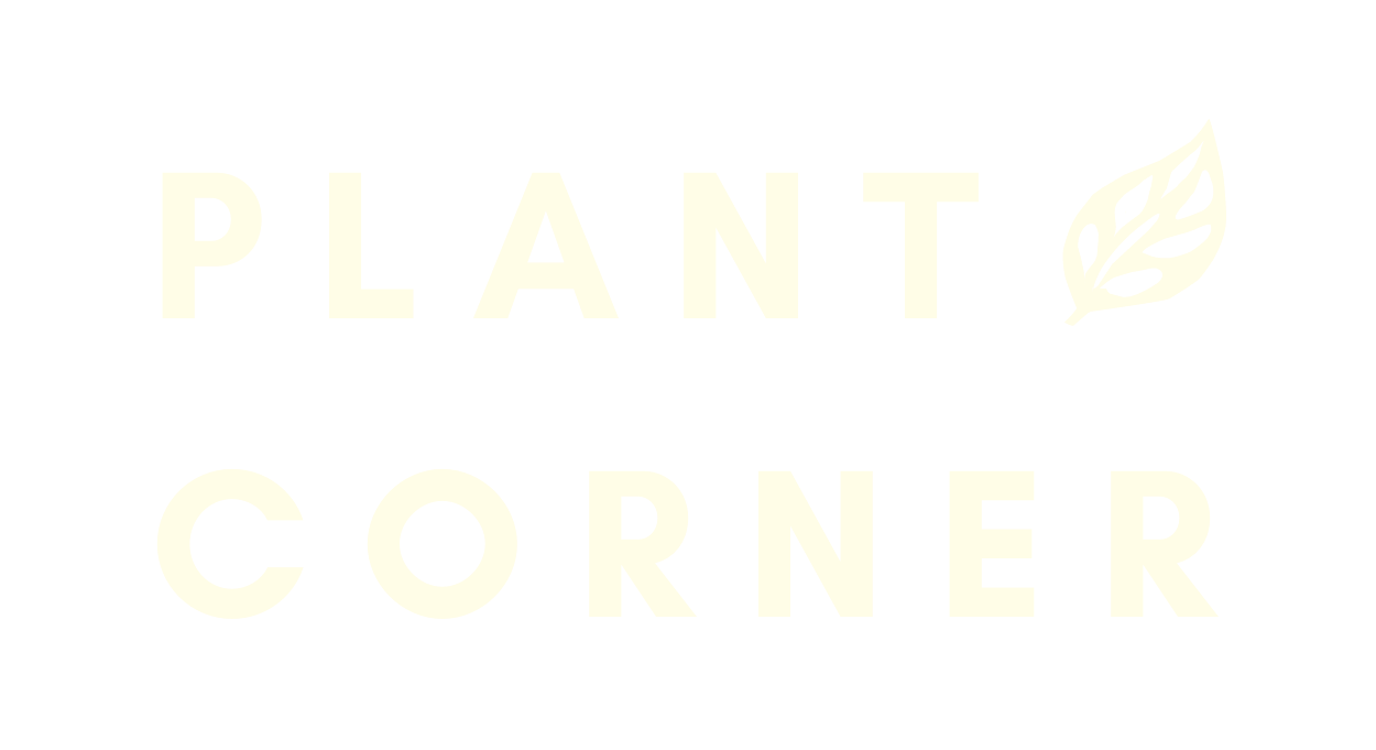 Plant Corner NYC