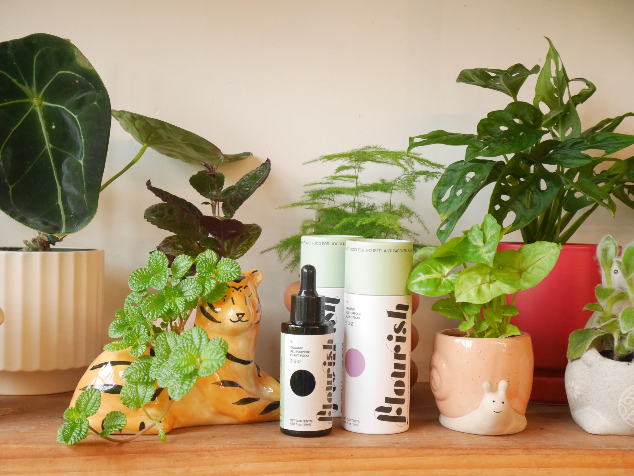 food for indoor plants Flourish Plant Food