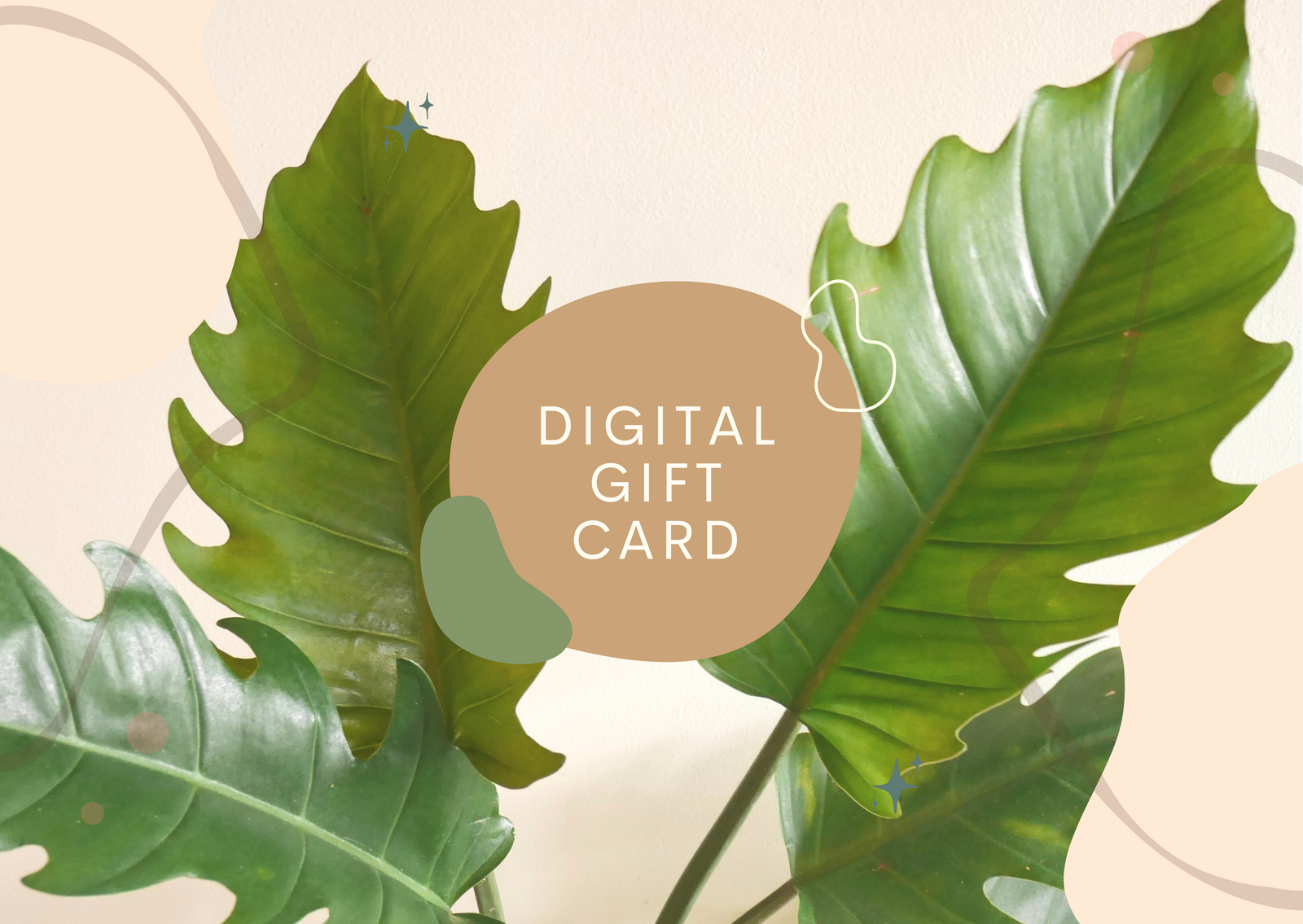 Plant Corner Gift Card