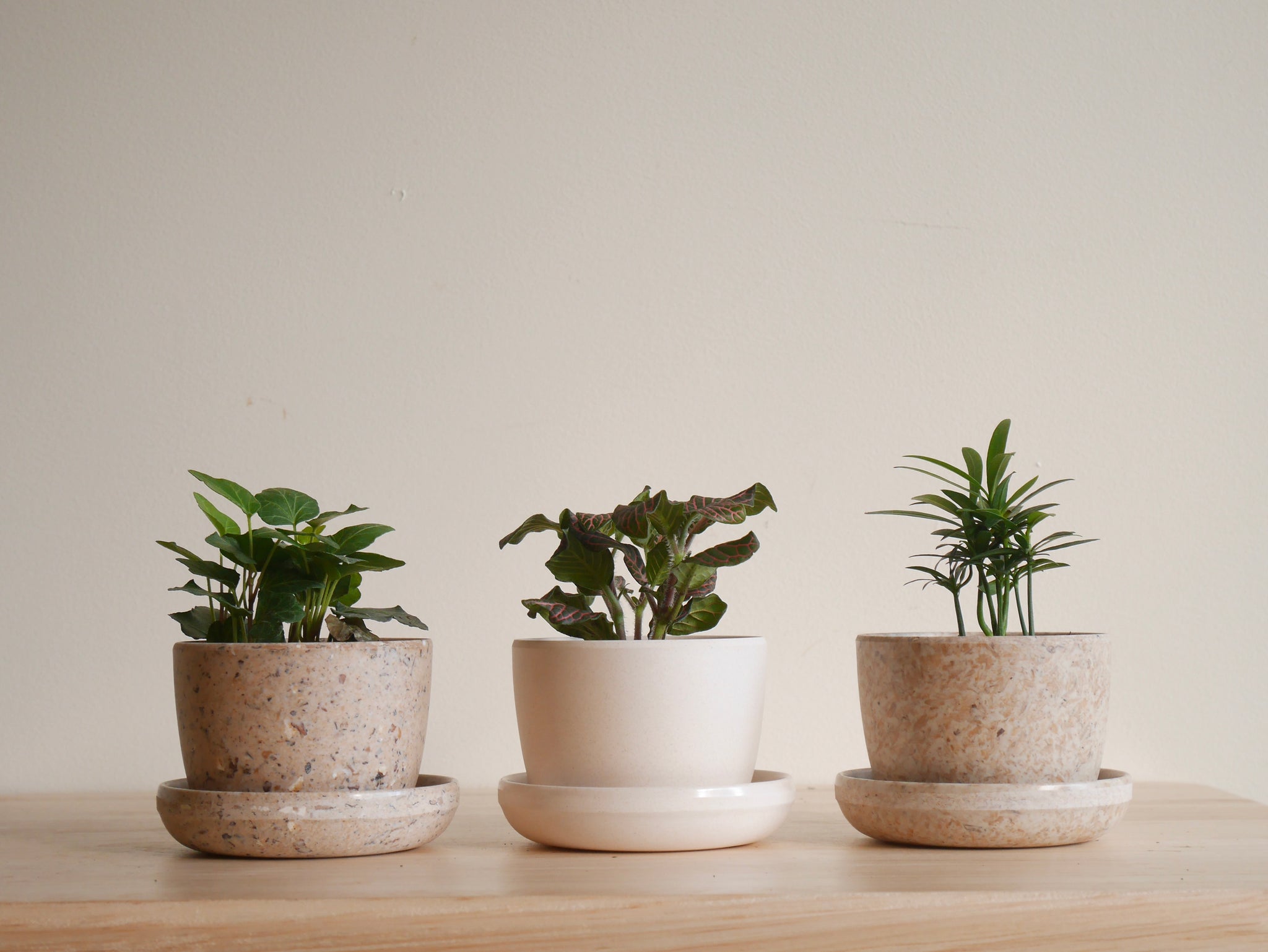 3 pot family planter Kanso 3 inch Planters